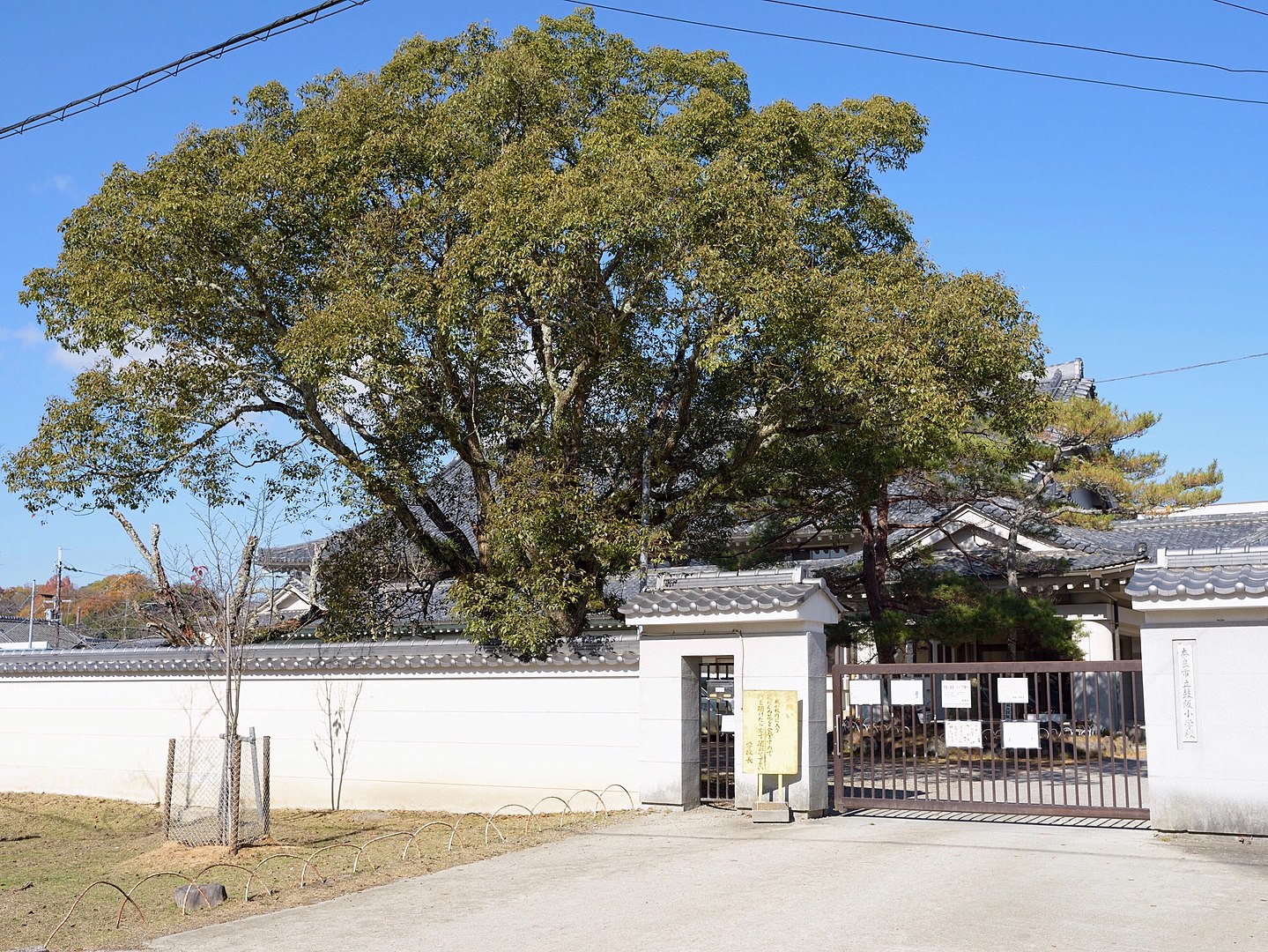 鼓阪小学校｜東大寺に隣接する、和風コンクリート造校舎