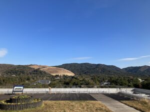 奈良県庁　屋上より奈良公園を見る（図版出処：岡田撮影）