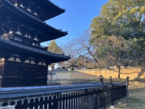 興福寺三重塔から、親愛幼稚園をみる（図版出処：岡田撮影）